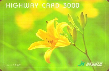 Opłaty za Autostrady