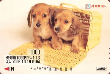 Bilet Odakyu Electric Railway 小田急電鉄