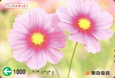 Bilet Tokyu Corporation